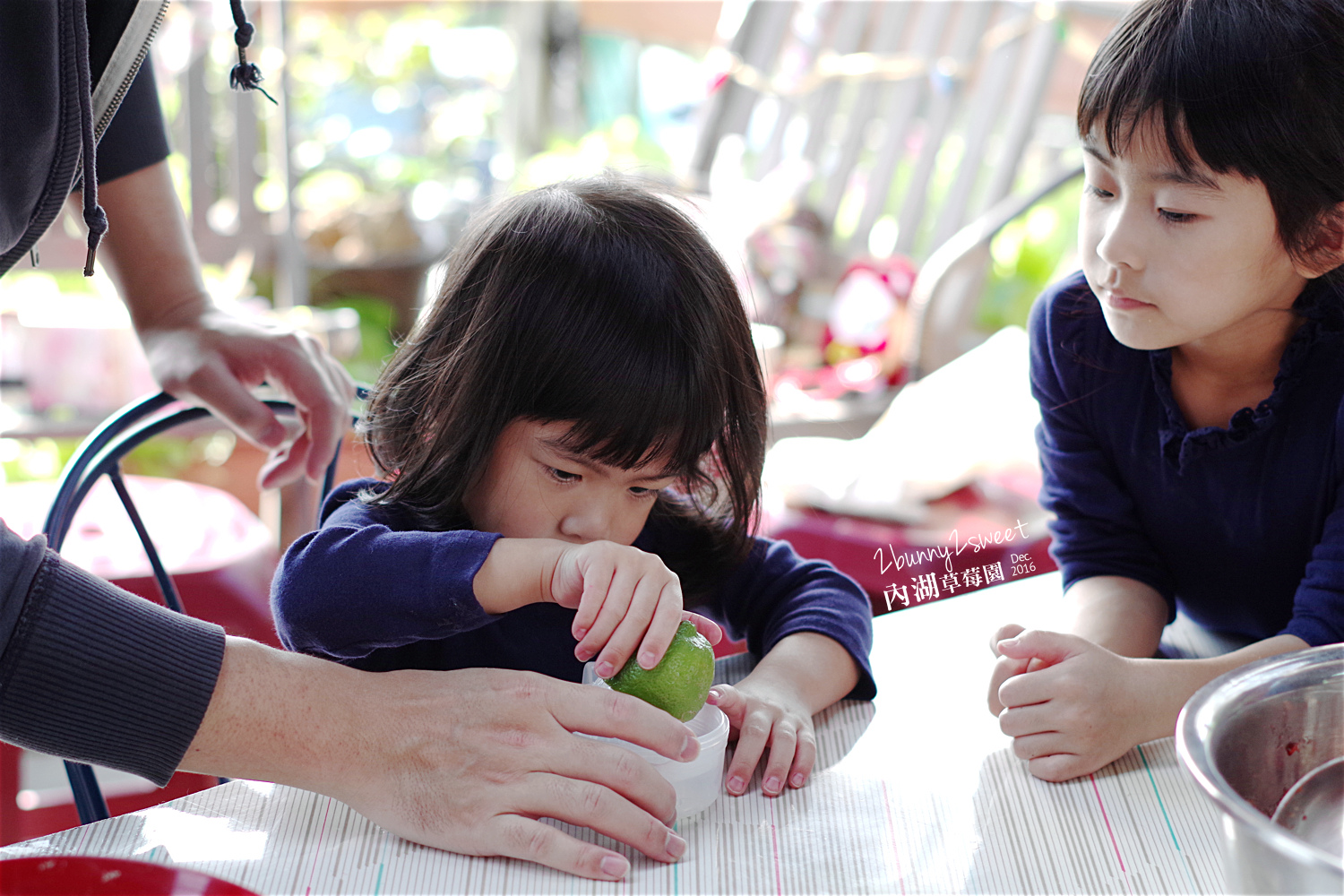 2016-1225-內湖草莓園-16.jpg 2016-1225-內湖草莓園-16.jpg
