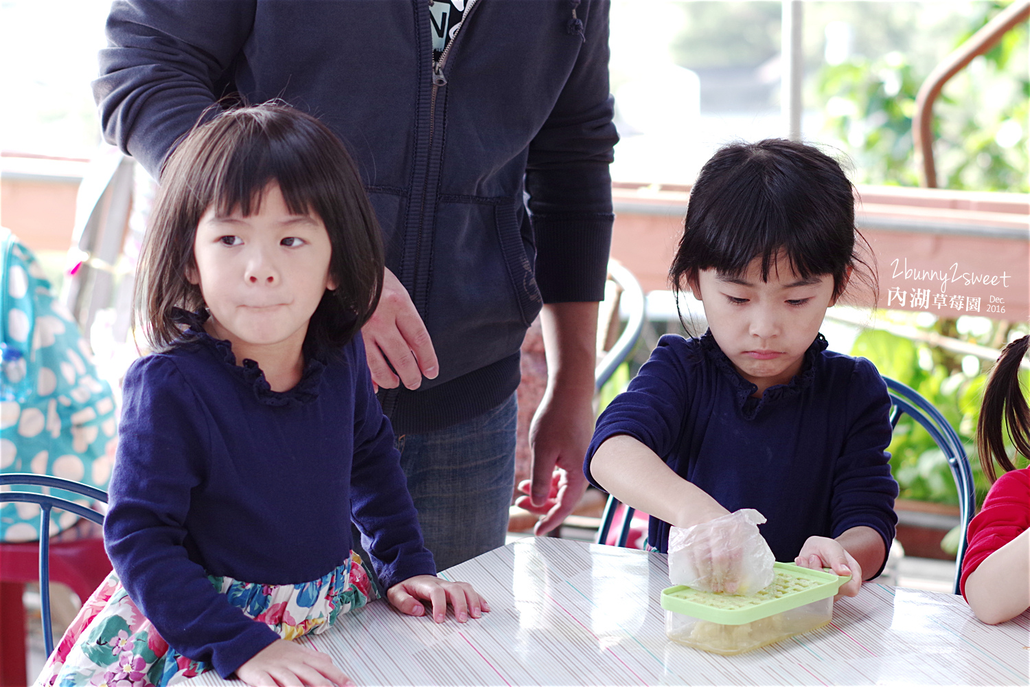 2016-1225-內湖草莓園-17.jpg 2016-1225-內湖草莓園-17.jpg