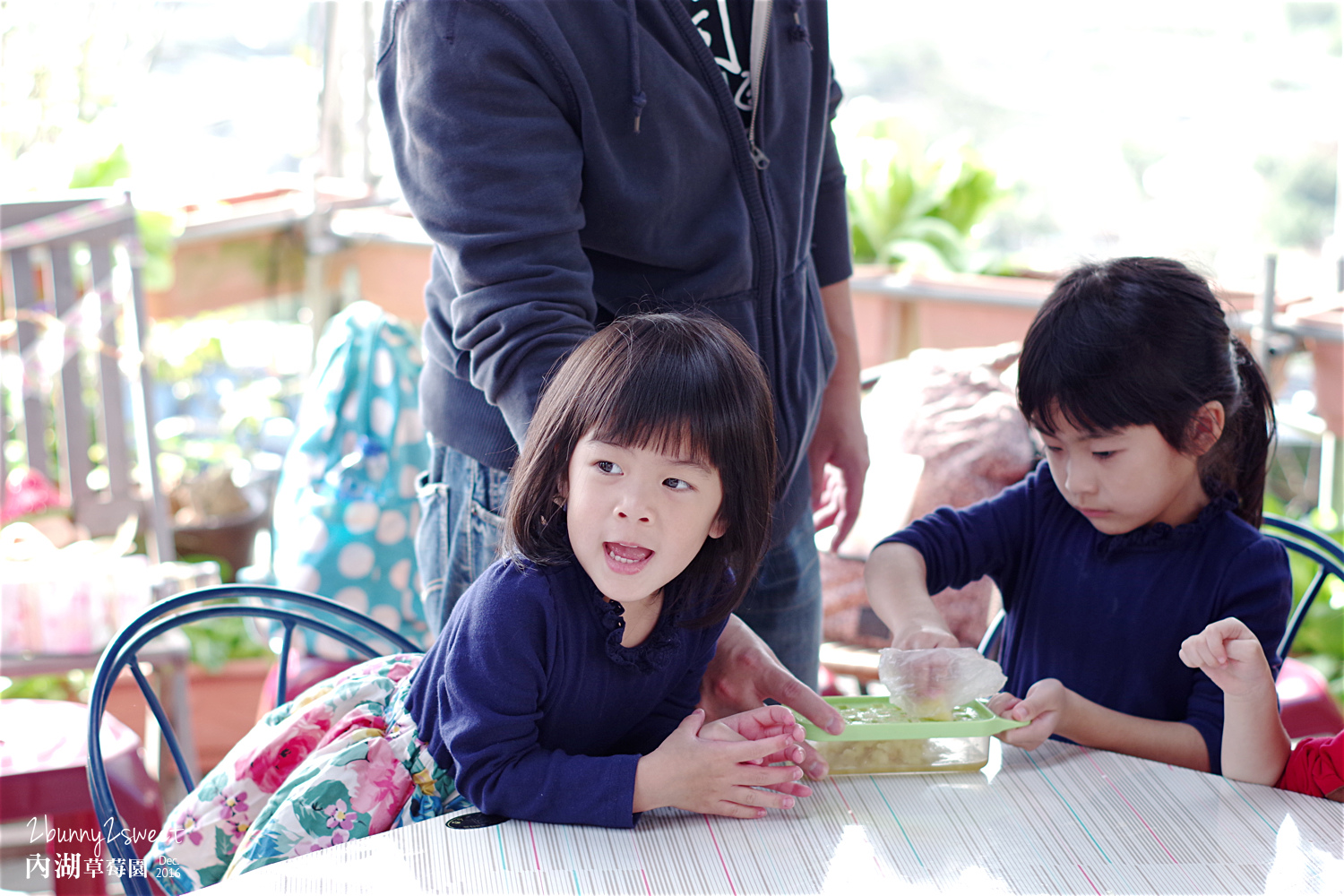 2016-1225-內湖草莓園-18.jpg 2016-1225-內湖草莓園-18.jpg