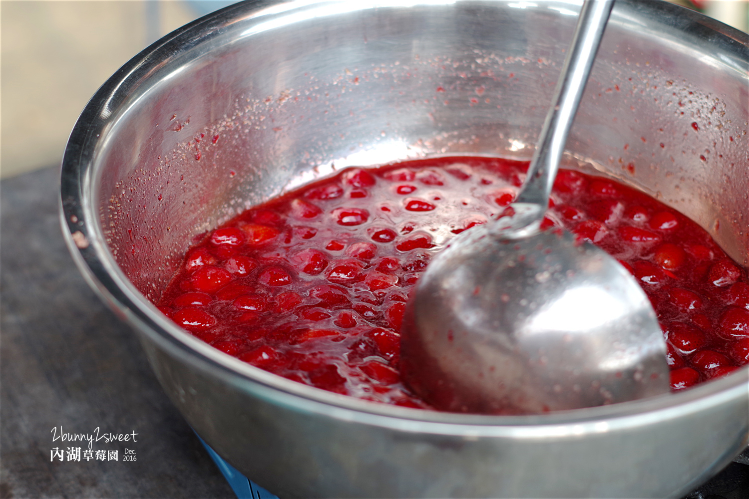 2016-1225-內湖草莓園-19.jpg 2016-1225-內湖草莓園-19.jpg