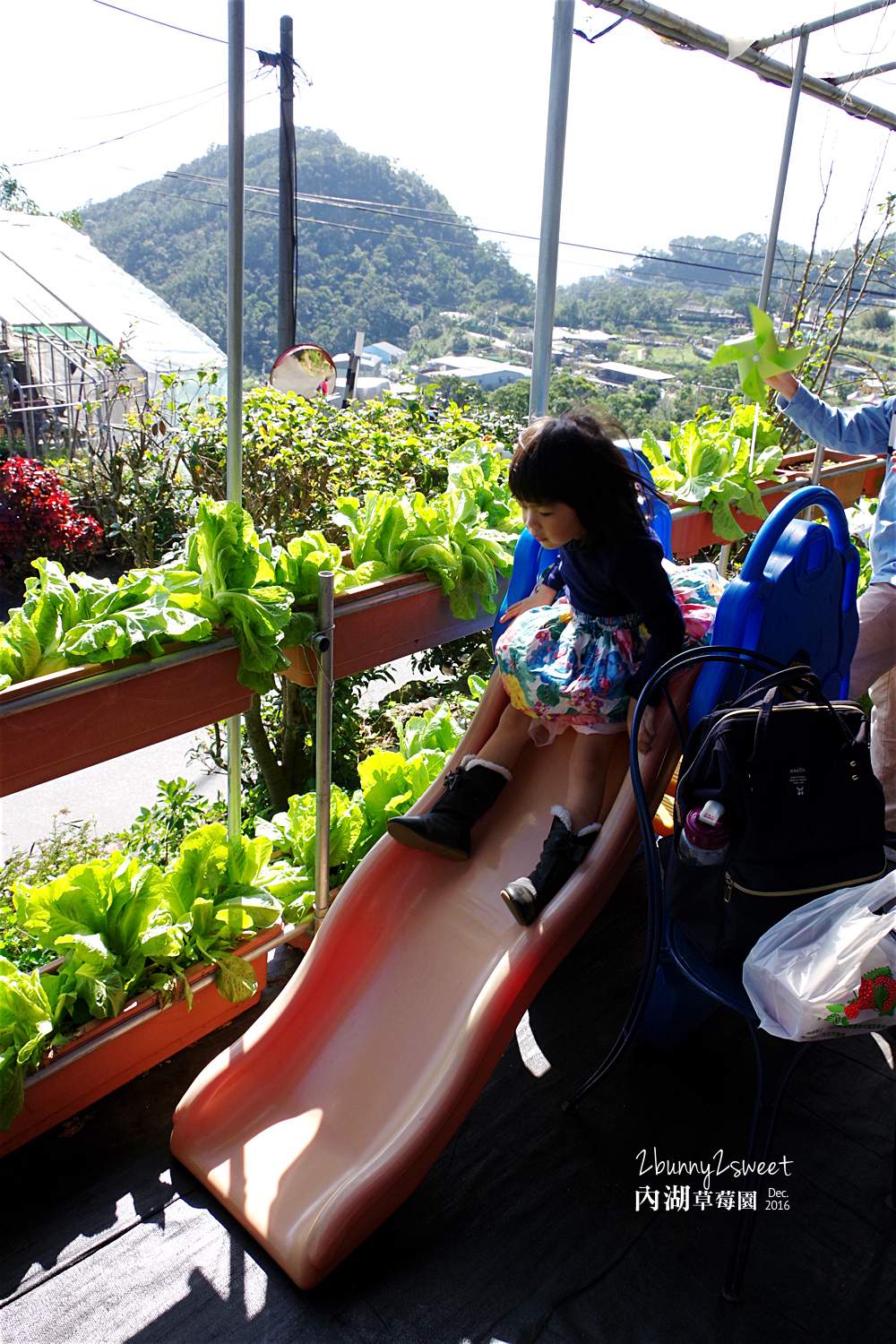 2016-1225-內湖草莓園-34.jpg 2016-1225-內湖草莓園-34.jpg