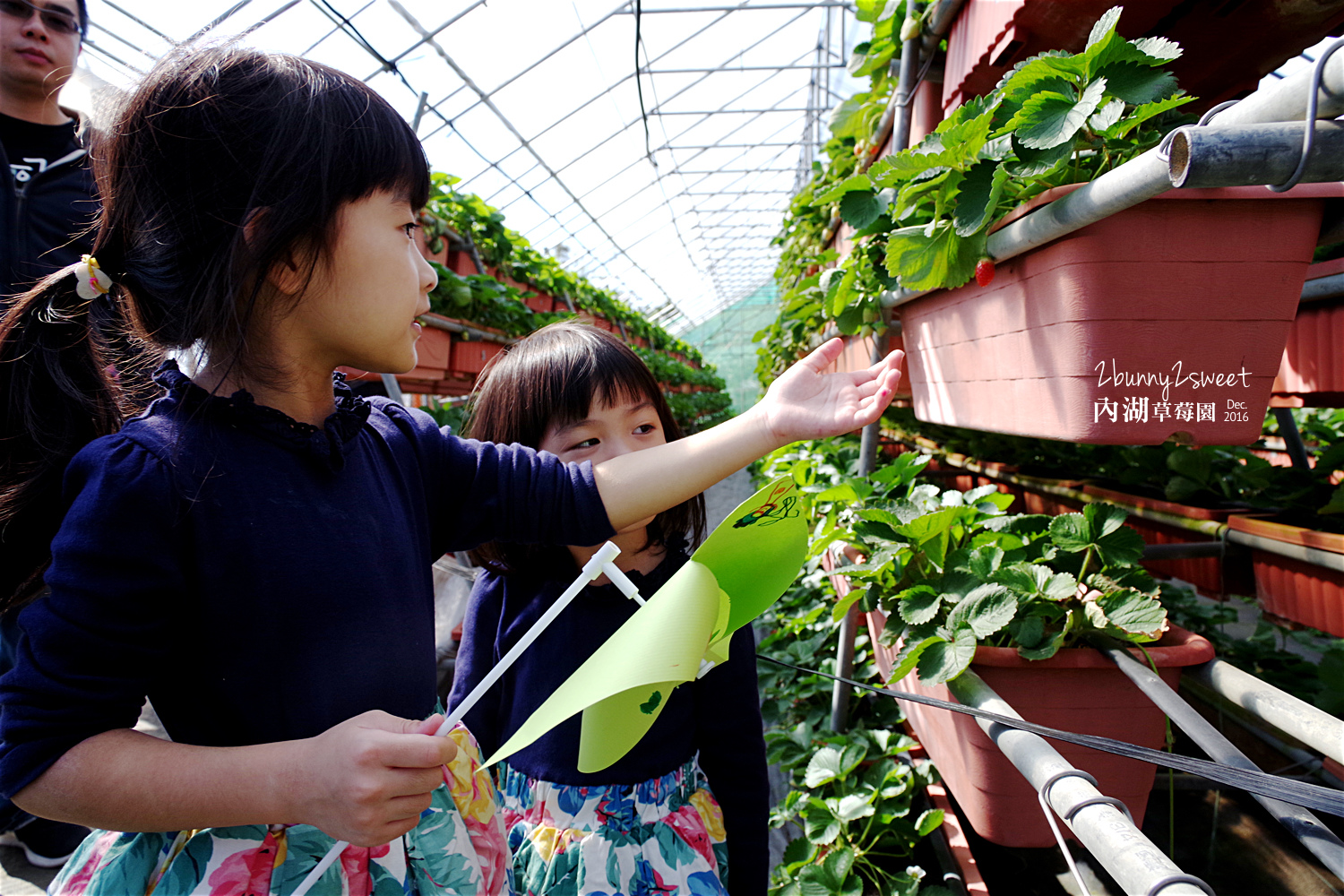 2016-1225-內湖草莓園-38.jpg 2016-1225-內湖草莓園-38.jpg
