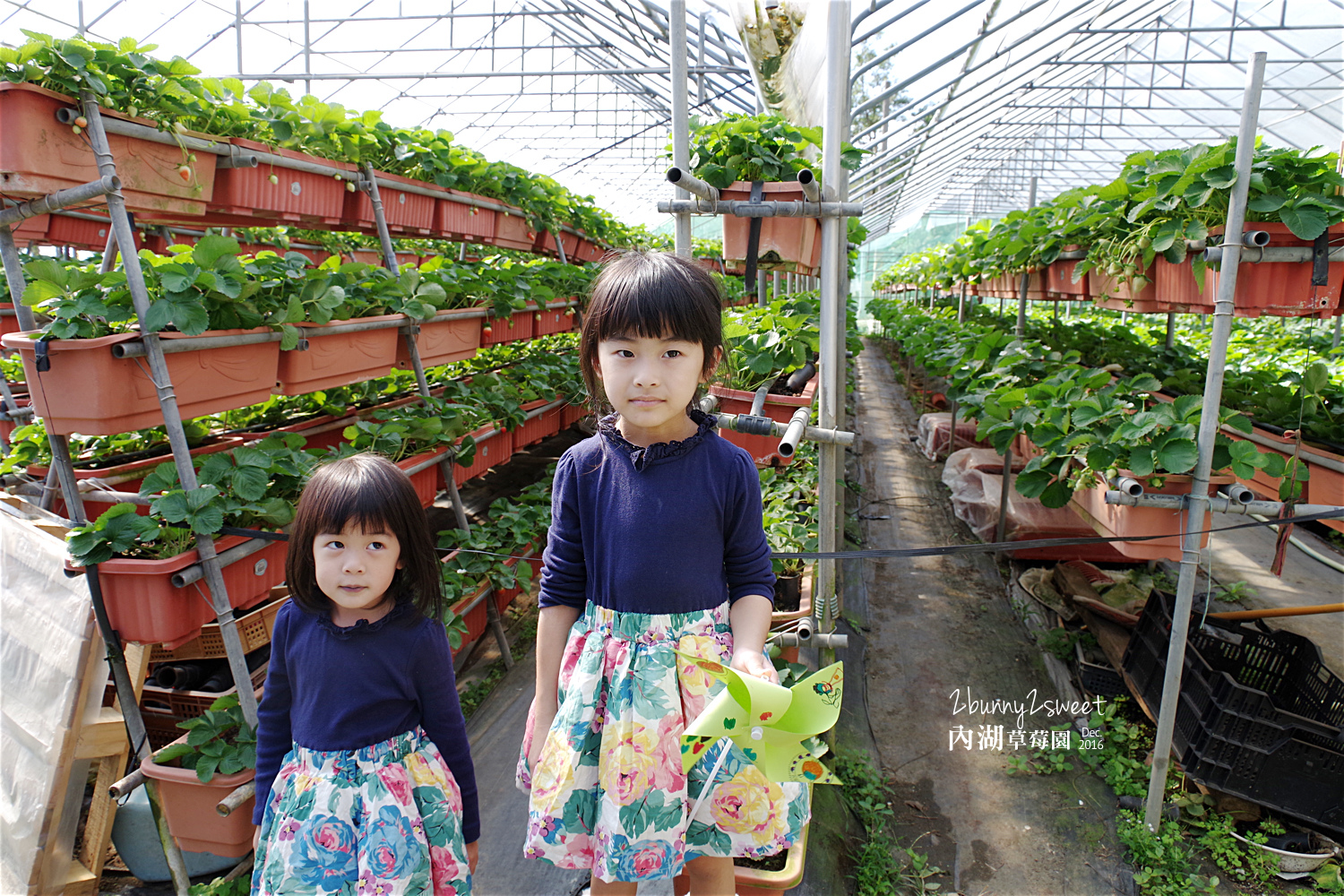 2016-1225-內湖草莓園-39.jpg 2016-1225-內湖草莓園-39.jpg