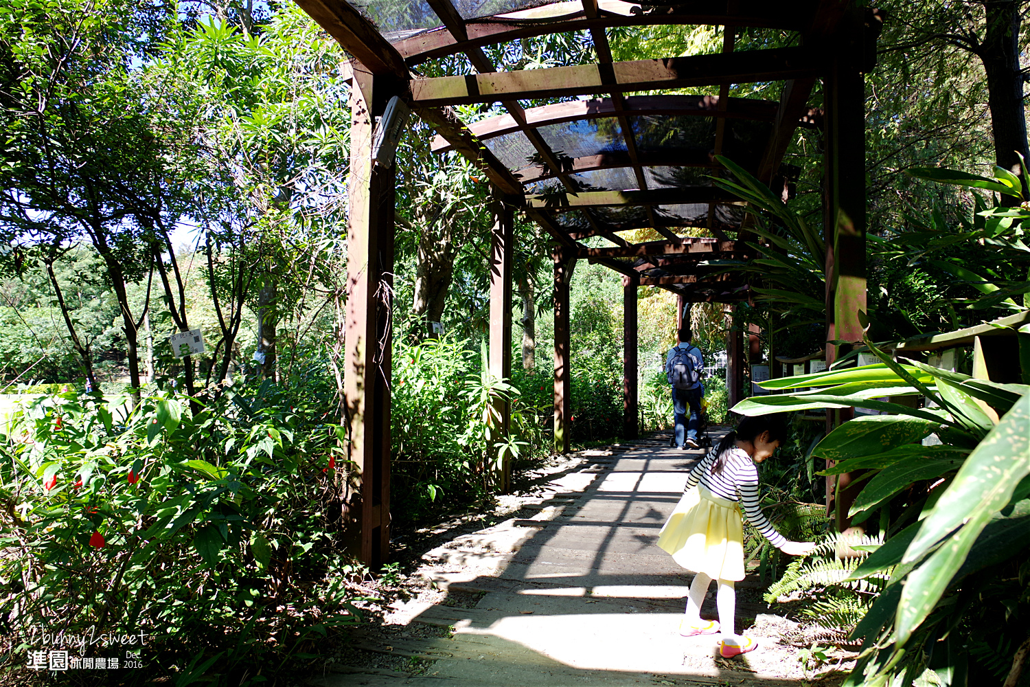 2016-1218-準園休閒農場-01.jpg 2016-1218-準園休閒農場-01.jpg