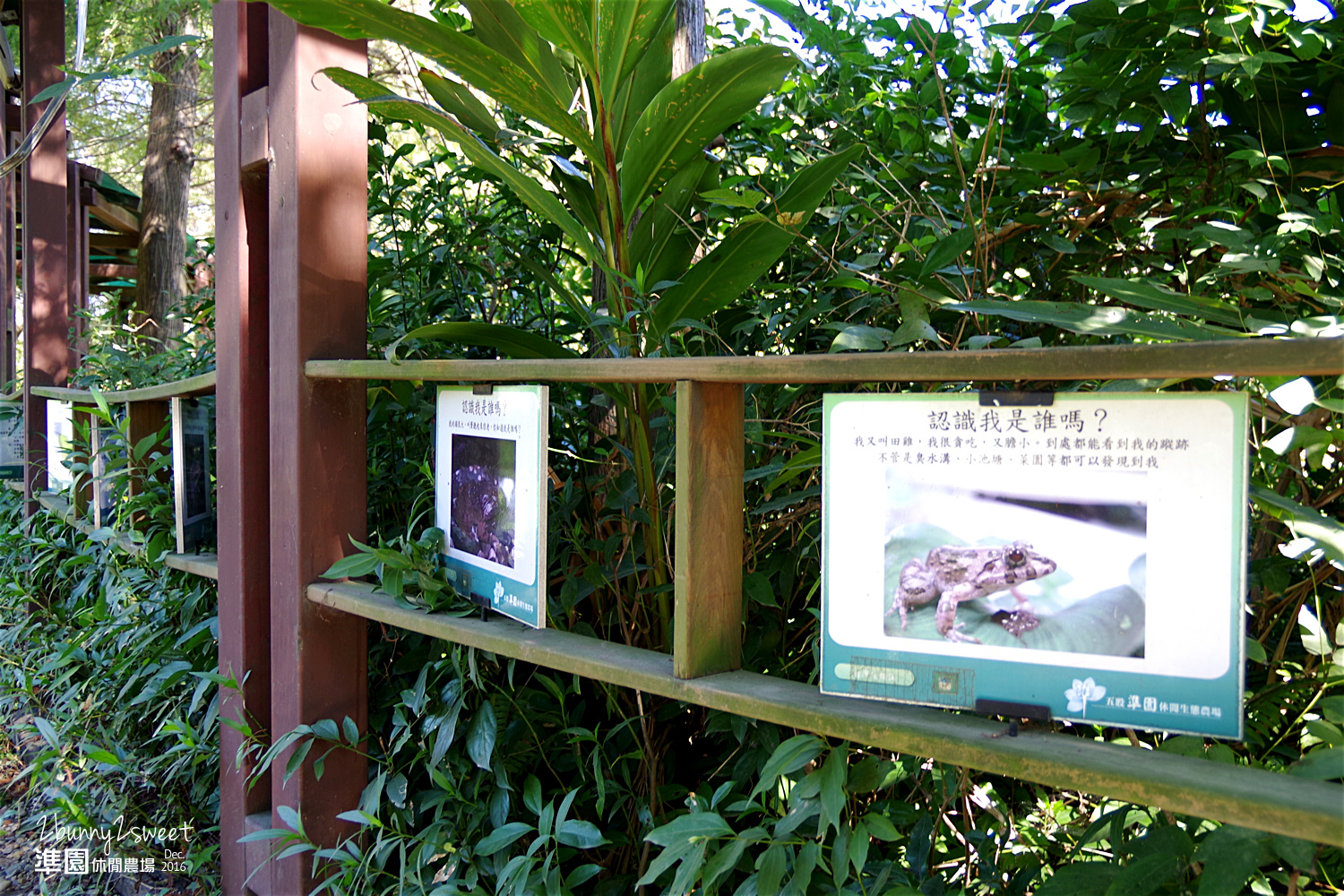 2016-1218-準園休閒農場-03.jpg 2016-1218-準園休閒農場-03.jpg