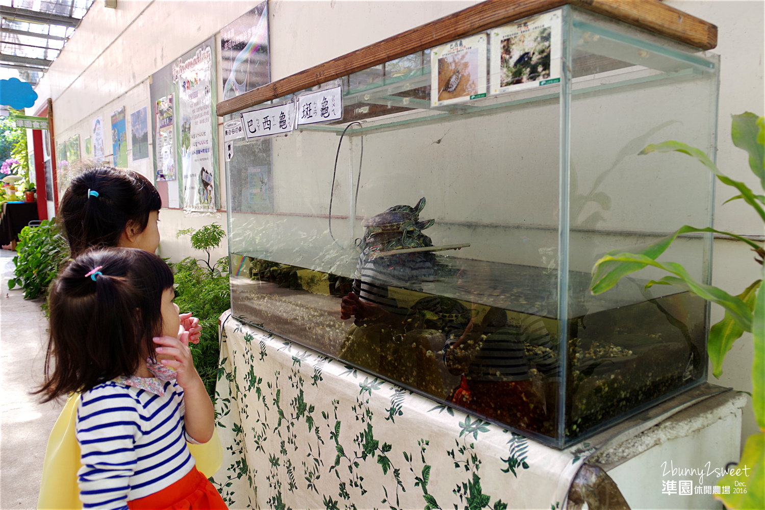 2016-1218-準園休閒農場-18.jpg 2016-1218-準園休閒農場-18.jpg