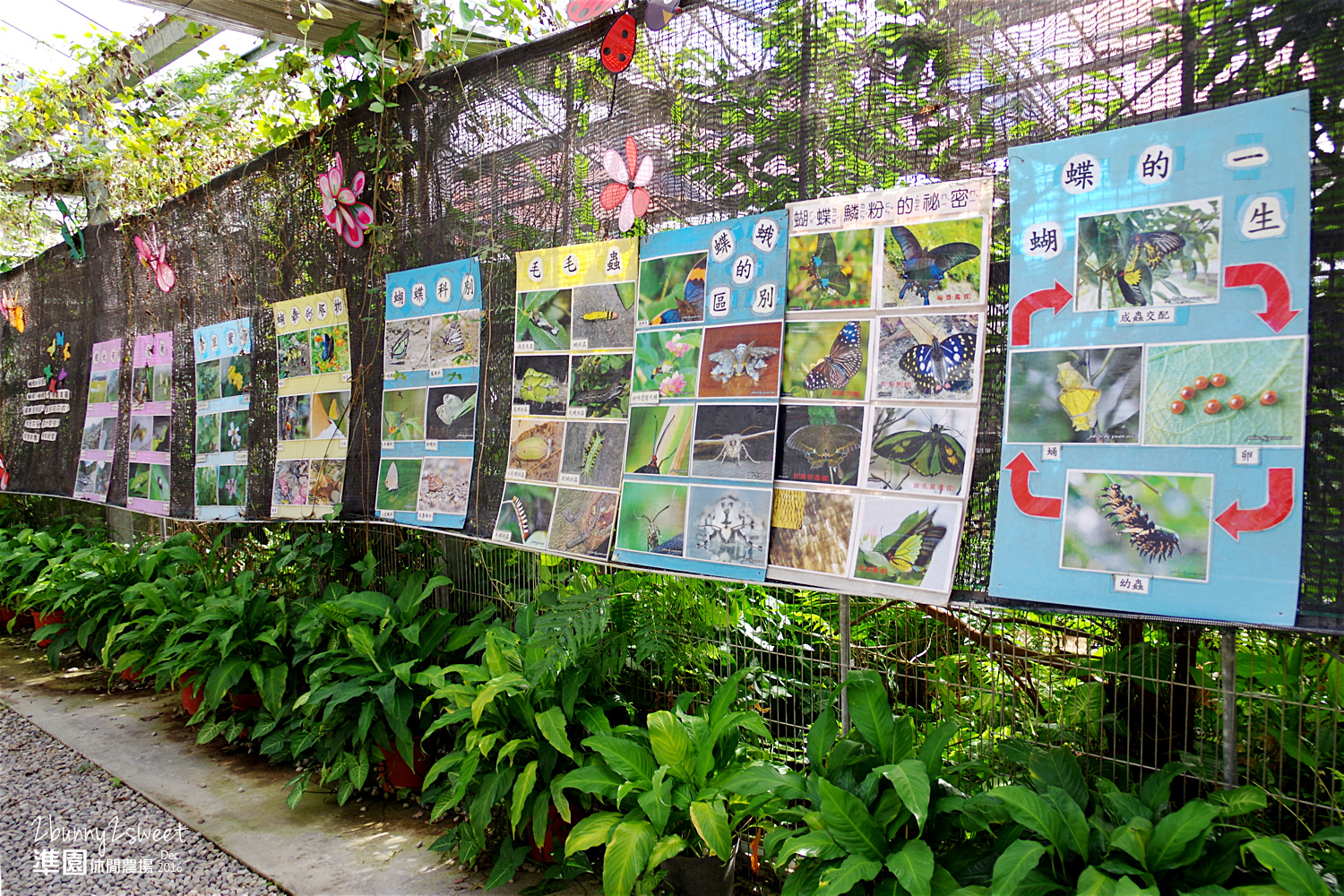 2016-1218-準園休閒農場21.jpg 2016-1218-準園休閒農場21.jpg