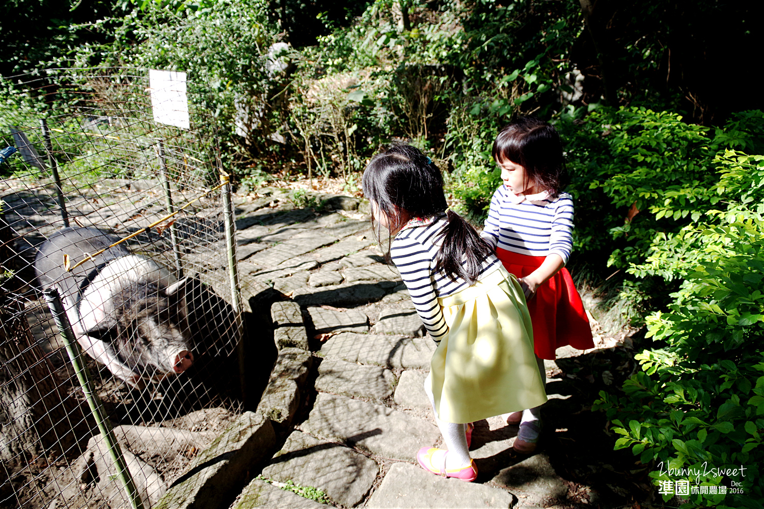 2016-1218-準園休閒農場25.jpg