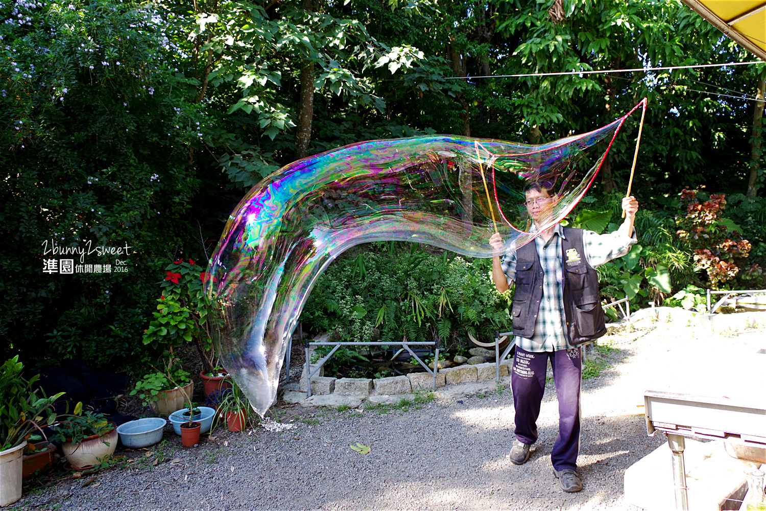 2016-1218-準園休閒農場34.jpg 2016-1218-準園休閒農場34.jpg