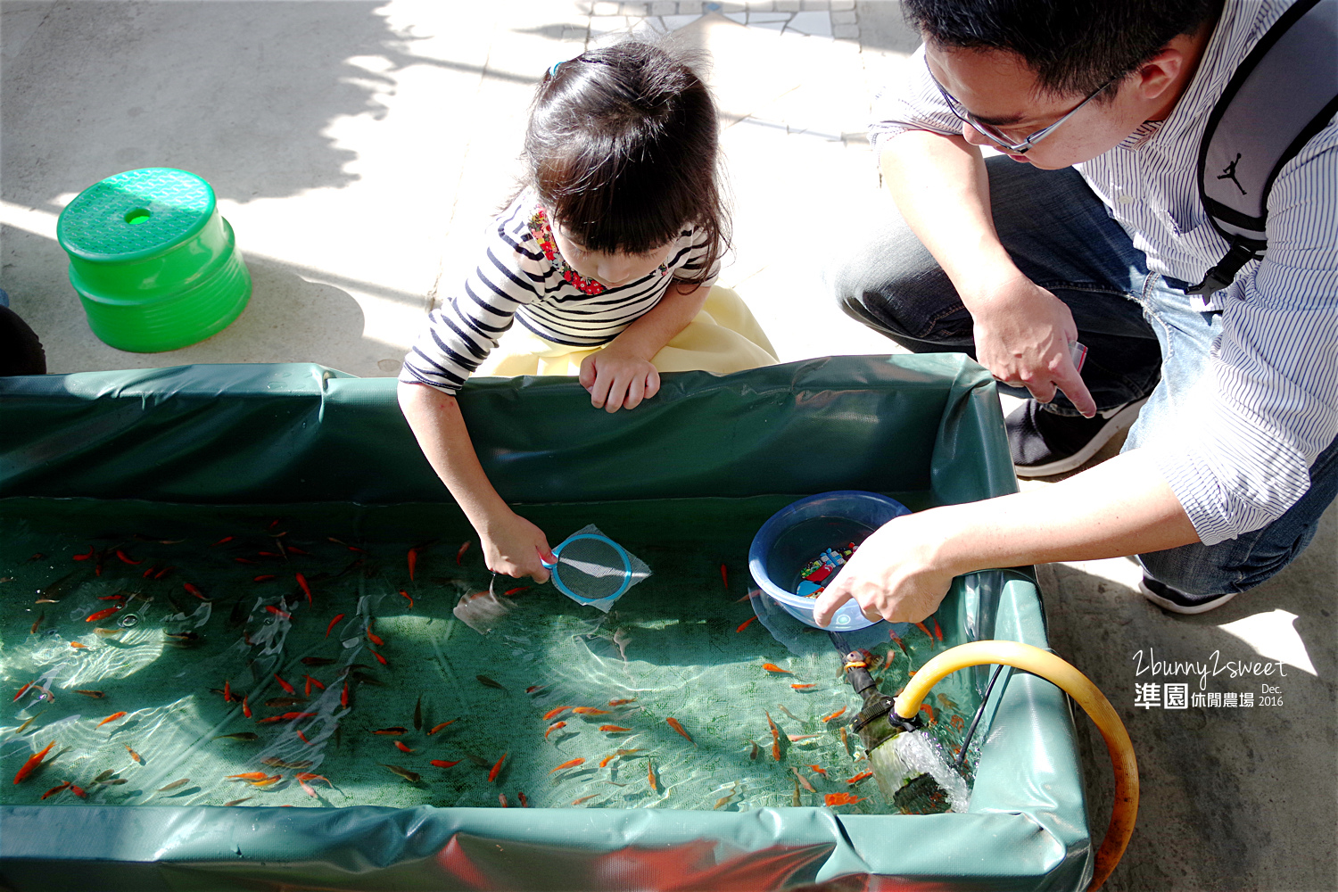 2016-1218-準園休閒農場37.jpg 2016-1218-準園休閒農場37.jpg