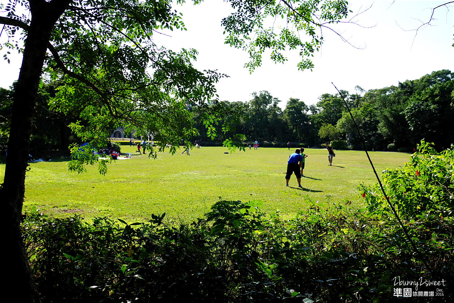 2016-1218-準園休閒農場39.jpg 2016-1218-準園休閒農場39.jpg