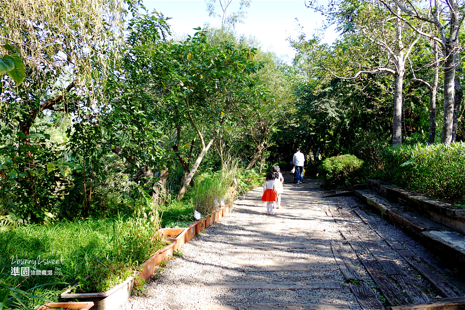 2016-1218-準園休閒農場40.jpg 2016-1218-準園休閒農場40.jpg