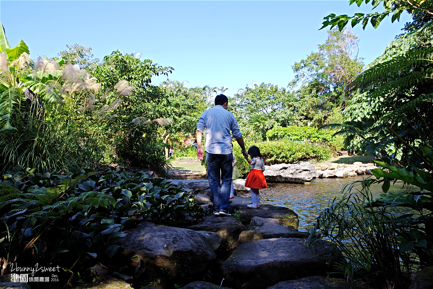 2016-1218-準園休閒農場41.jpg 2016-1218-準園休閒農場41.jpg
