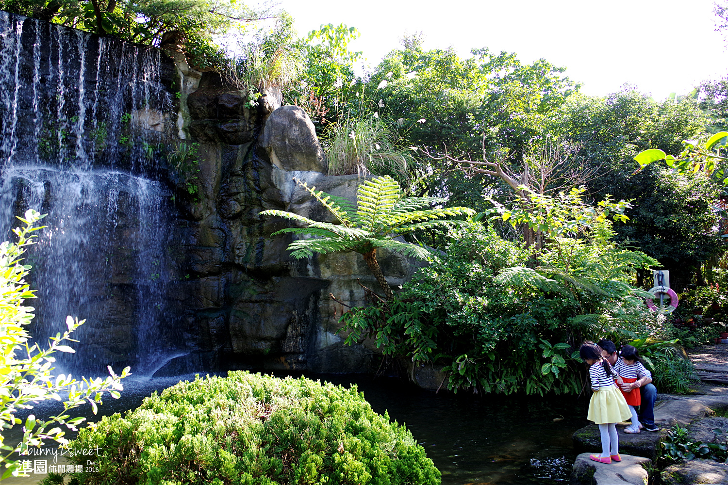 2016-1218-準園休閒農場42.jpg 2016-1218-準園休閒農場42.jpg