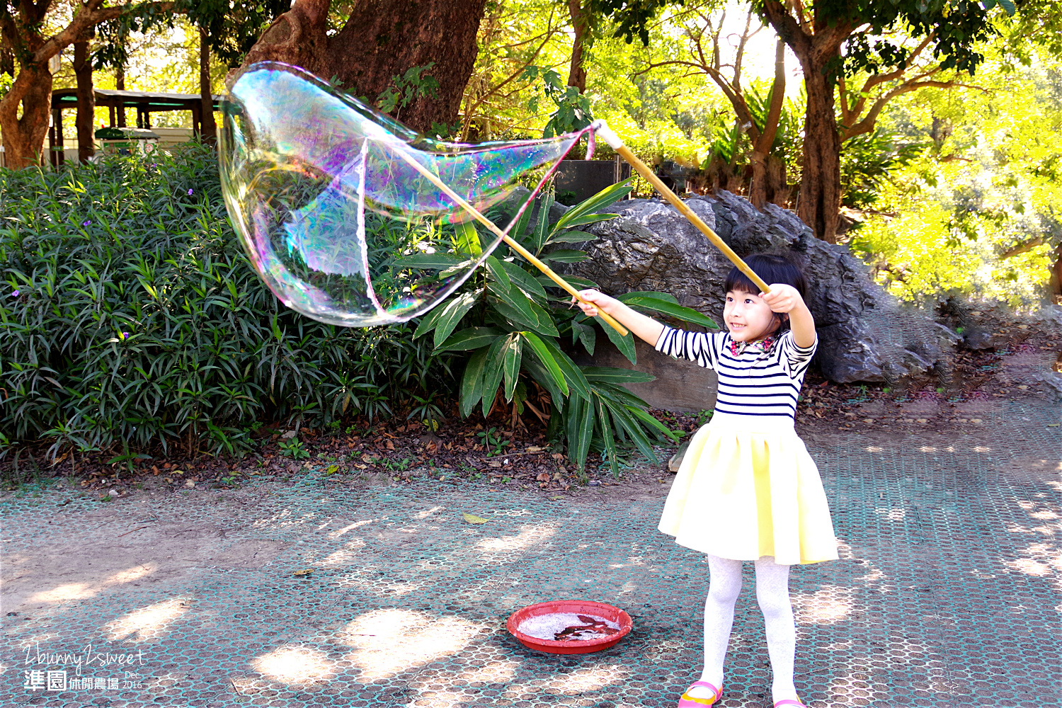 2016-1218-準園休閒農場49 2016-1218-準園休閒農場49