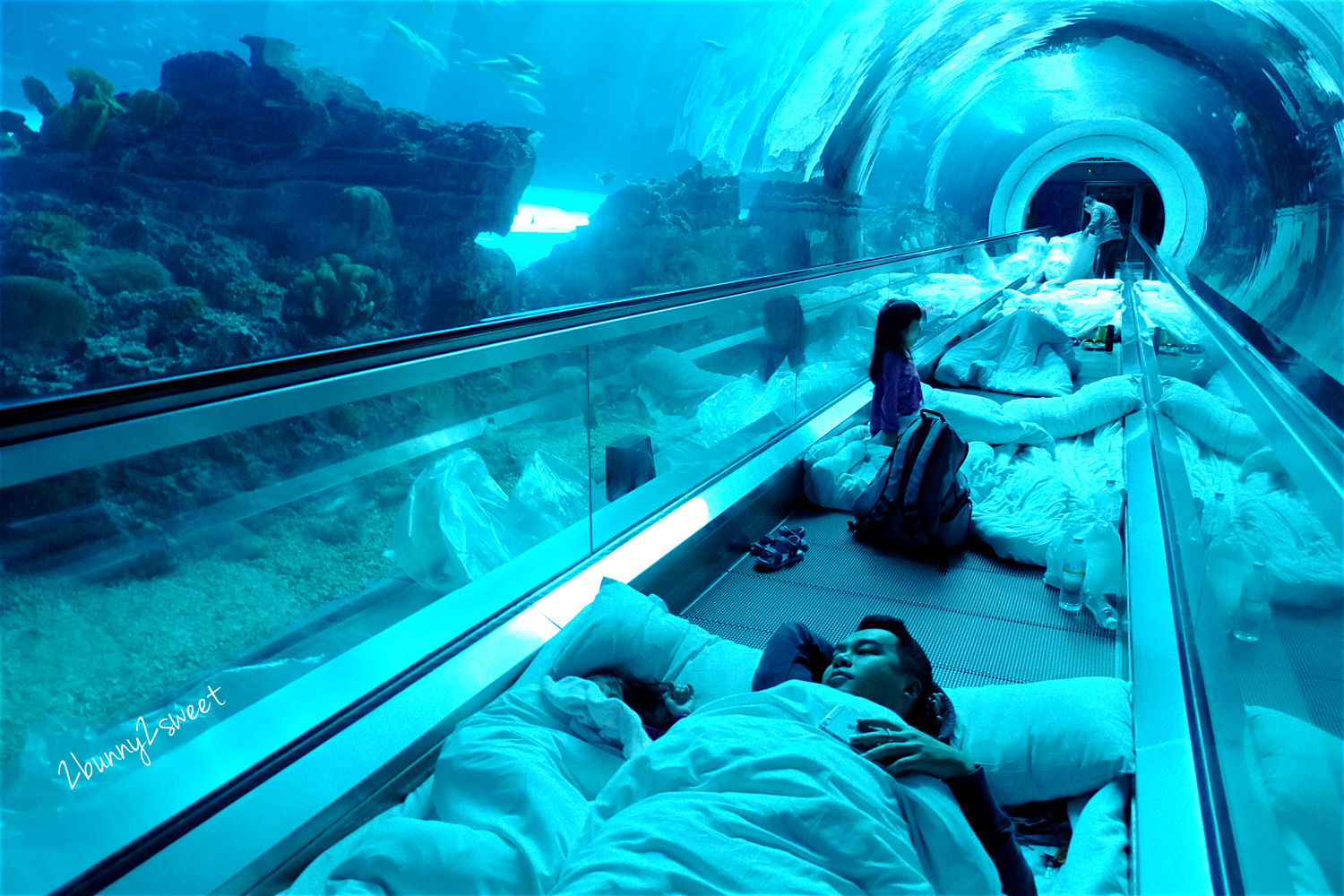 【国立海洋生物博物馆】感受不同于白天的趣味！屏东海生馆夜宿体验 - Klook客路 中国