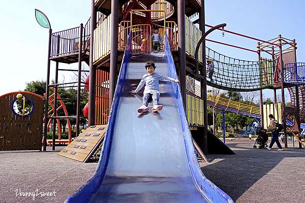 九州 福岡 特色公園 島城中央公園 アイランドシティ中央公園 Island City Central Park 兒童廣場的大樹主題大型複合遊具 有直的 捲的 波浪 滾輪四座滑梯 超多攀爬設施和溜索 九州超長溜滑梯公園 免費景點