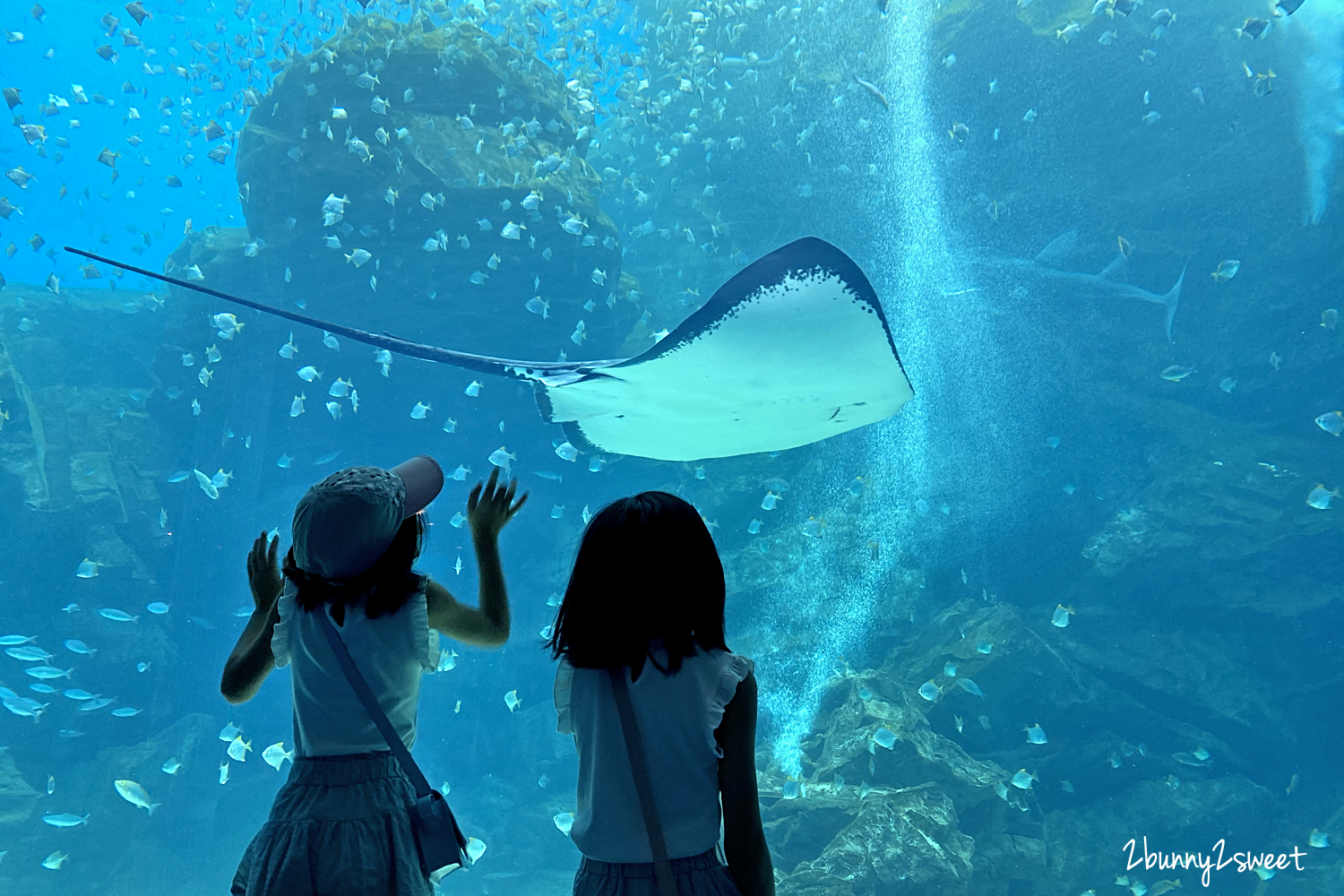 2020-0730-Xpark 水族館-09.png