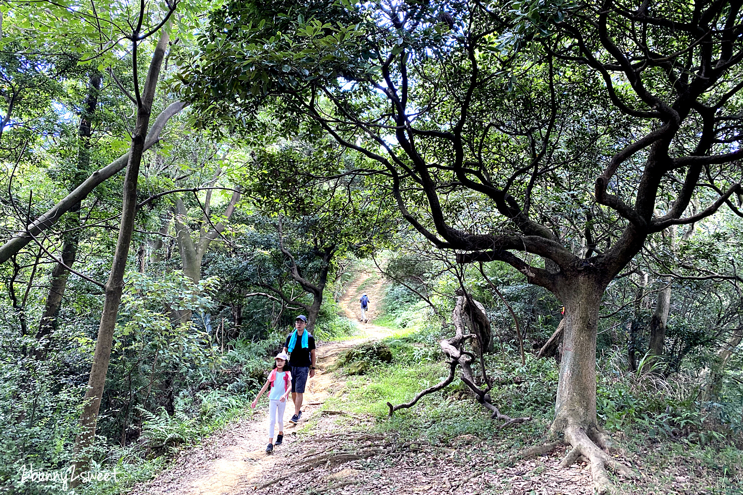 親子旅遊