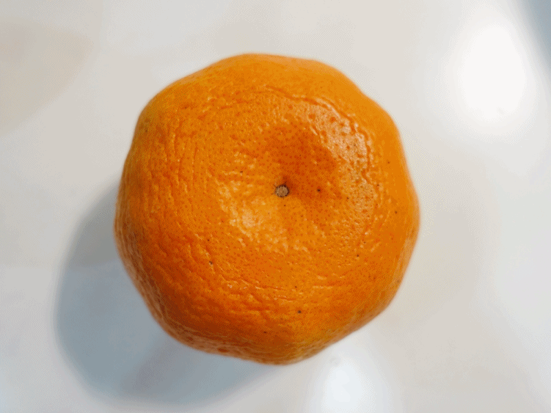 orange-01gif.gif