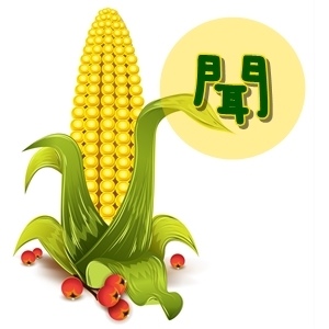 corn13.jpg