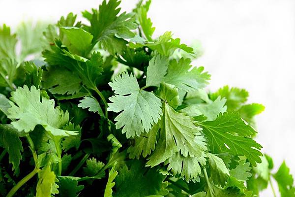 parsley02.jpg