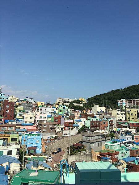 IMG_4442.JPG IMG_4442.JPG