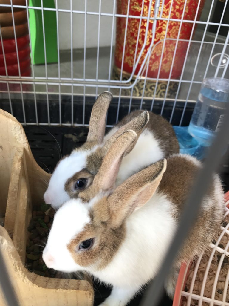 IMG_7138.JPG IMG_7138.JPG