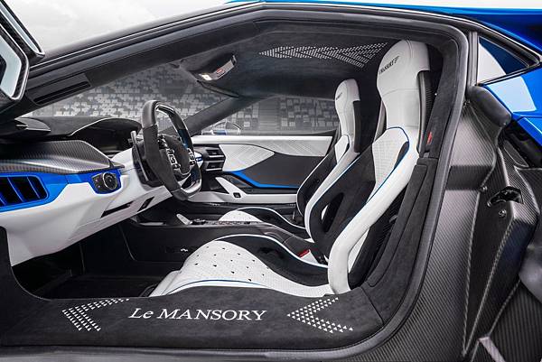 mansory_ford_gt_lemansory_10.jpg