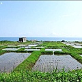 花東石梯海岸_林育朱攝。