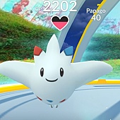 Screenshot_20190907-045512_Pokmon GO.jpg