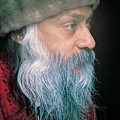 osho404.jpg