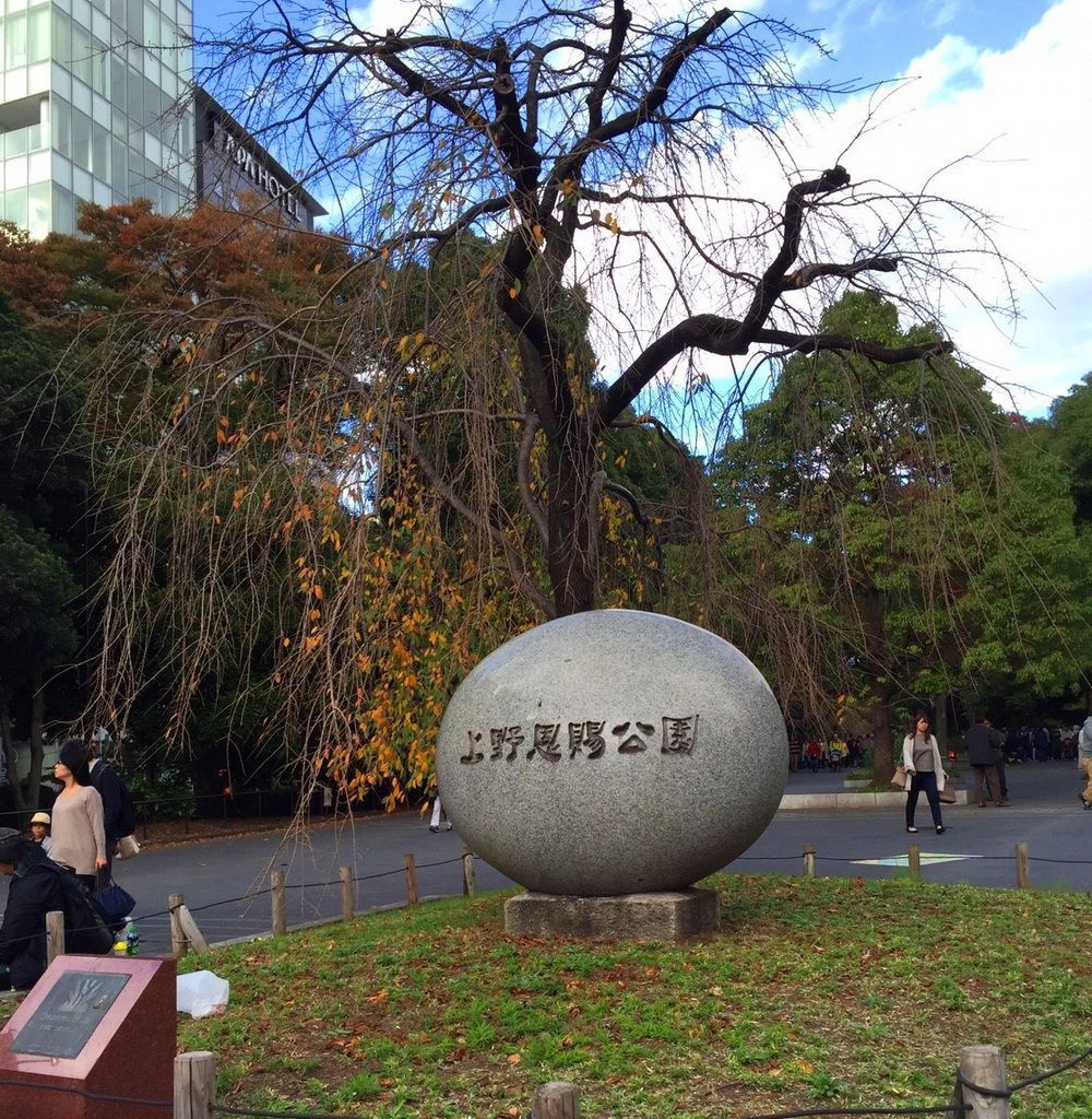 20171113_171113_0027.jpg 20171113_171113_0027.jpg