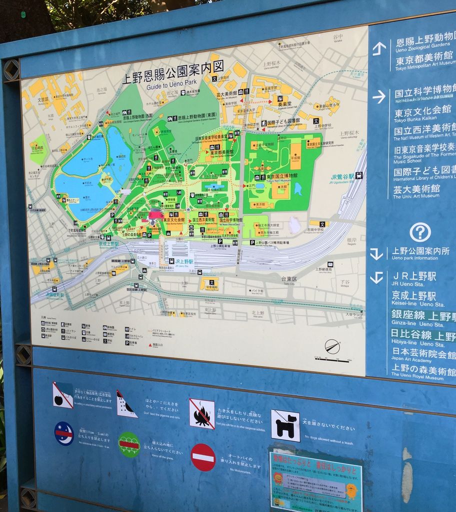 IMG_4365.JPG IMG_4365.JPG