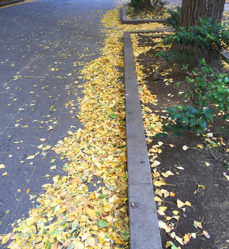 IMG_4371.JPG IMG_4371.JPG