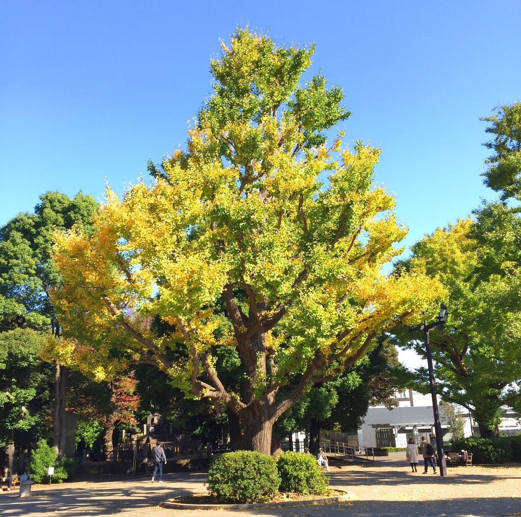 IMG_4349.JPG IMG_4349.JPG