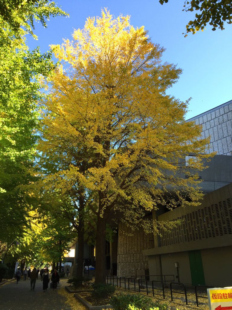 IMG_4369.JPG IMG_4369.JPG