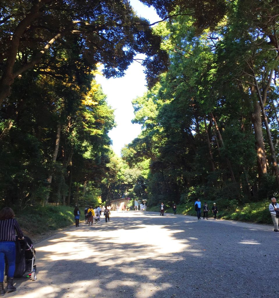 IMG_4457.JPG IMG_4457.JPG