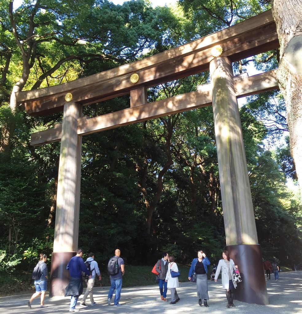 IMG_4445.JPG IMG_4445.JPG