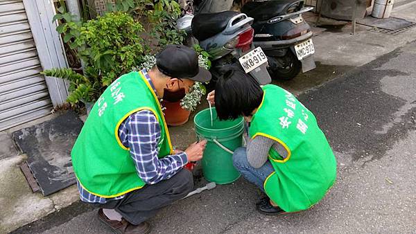 0115018登革熱防治.jpg