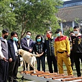 0304003議會搜救犬待遇.jpg