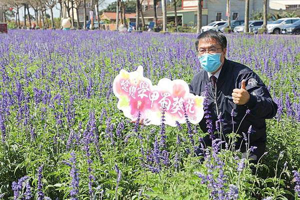 0311011學甲蜀葵花文化節.jpg