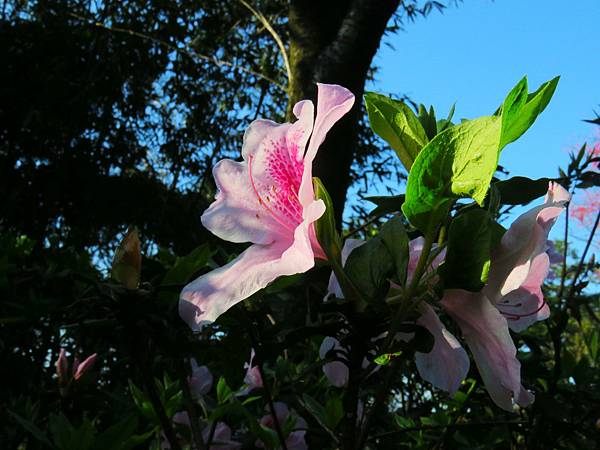 逛三芝