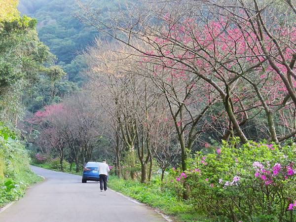 逛三芝