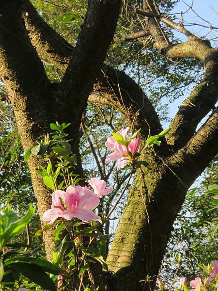 逛三芝