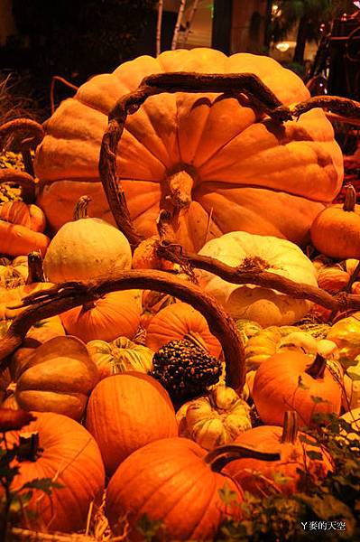 110905大美西[ni-sw二] 935.jpg