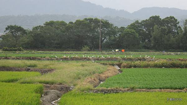 20131020三坑單車[紅1] 005.jpg