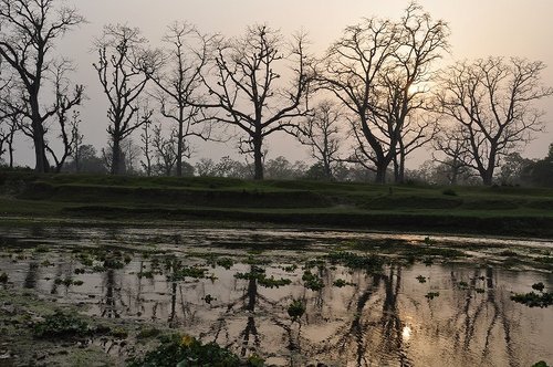 1203２１尼泊爾之旅[ni] 386.jpg