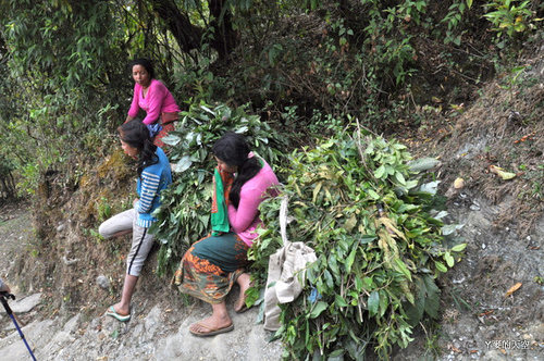 1203２１尼泊爾之旅[ni] 875.jpg