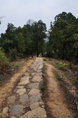 1203２１尼泊爾之旅[ni] 868.jpg